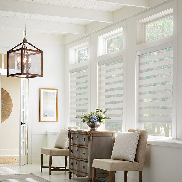 Transitional shades in a Cleveland living room